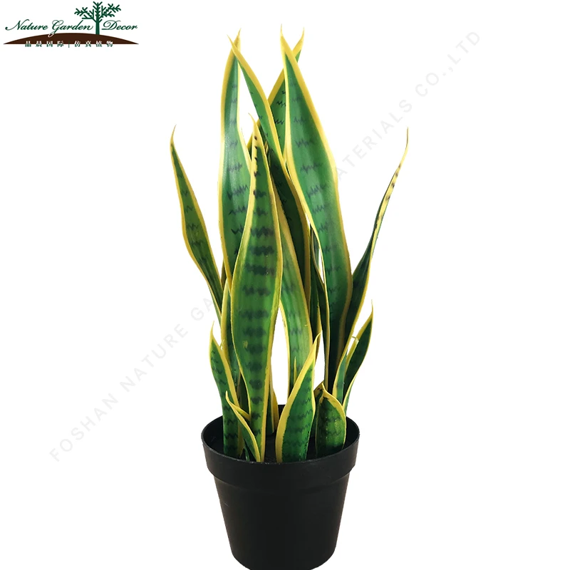 Небольшие пластиковые агавы бонсай растения с горшком Sansevieria Cylindrica