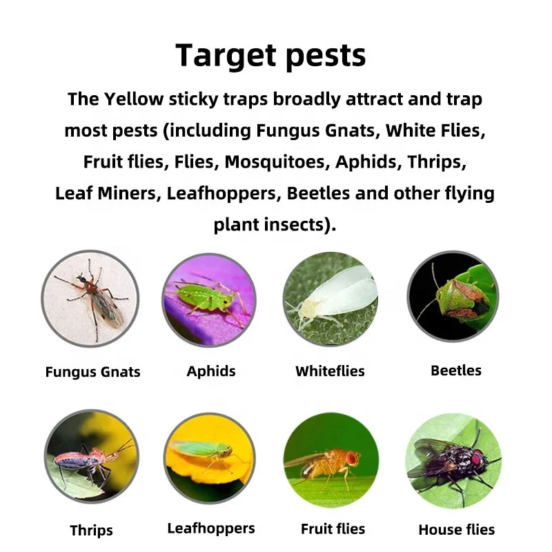 Dual-Sided Yellow Sticky Gnat Traps Indoor/Outdoor Insect Fungus Gnats,  Whiteflies, Aphids, Leaf Miners,Thrips(20-Count)