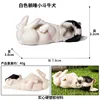 colorful M-973 White lying Bulldog