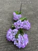17#-5 European hydrangeas-light purple