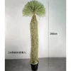 260 cm