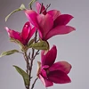 Rose madder