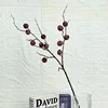 12-headed bell-shaped fruit, red