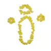 Giallo Classico (4 pezzi)