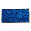 bleu foncé