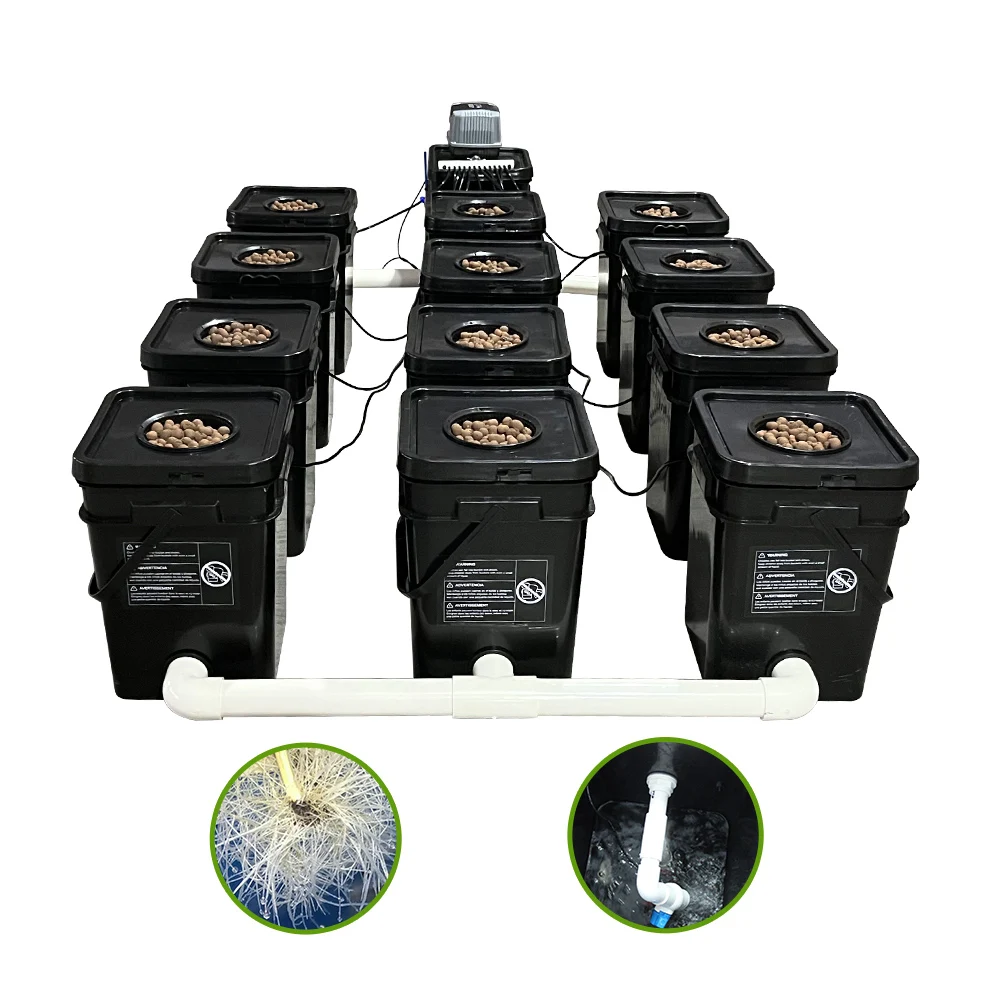 Rdwc 12 Buckets Recirculating Hydroponic System Air Pump And Cycle Pump ...