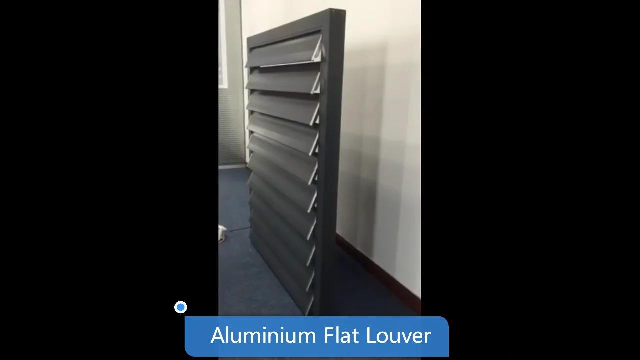 Extrusion Aluminum Louver Profile Ventilation Ceiling Motorized Window