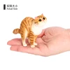 3383 Garfield Chat en Demi-Squat