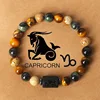 Capricornio