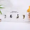White  Plant root specimen