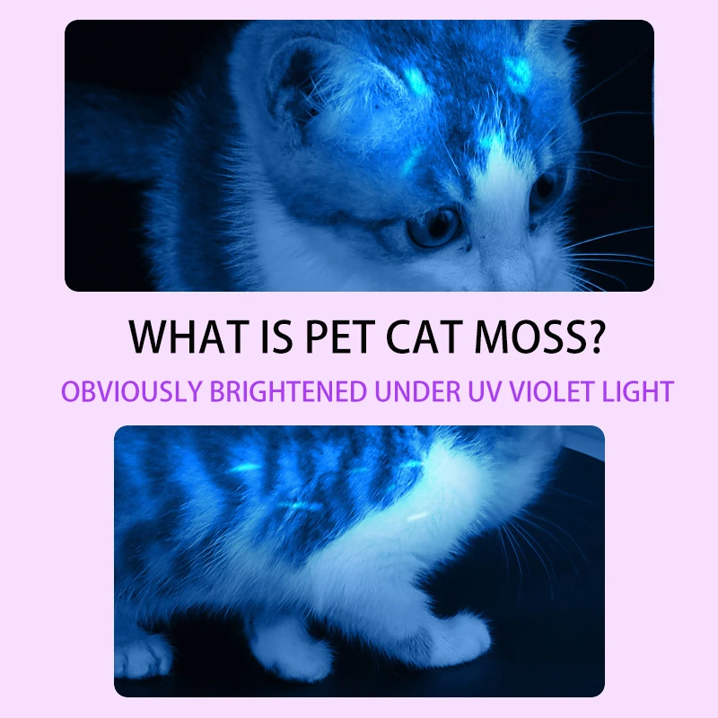 Mini USB Rechargeable UV Light Led Flashlight Waterproof Aluminum Alloy 365NM Pet Dog Cat Urine Money UV Detector Purple Light