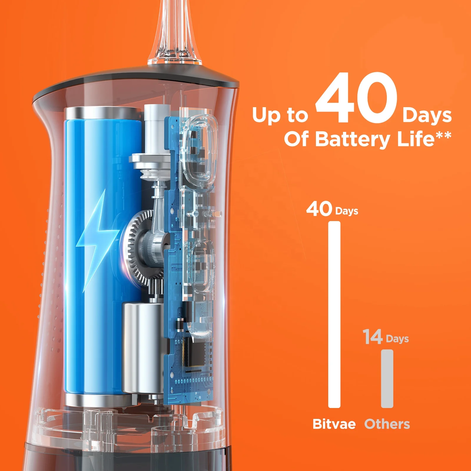 Bitvae BV C2 260ml Water Tank Water Flosser Oral Irrigator with 6 Nozzles