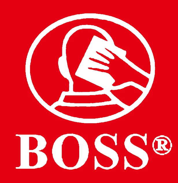 Company Overview Shandong Boss Abrasives Manufacturing Co., Ltd.