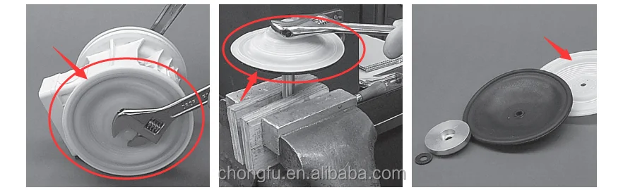 CF02-1010-55 Diaphragm factory