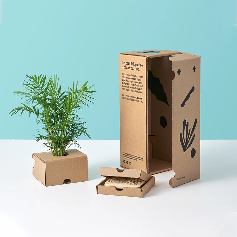Recycled Rectangle Flower Custom Size Printing Live Corrugated Packaging Potted Indoor Plant Paper Boxes