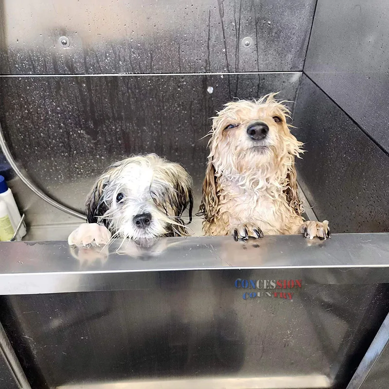 Mobile Dog Wash Portable Dog Groomer Hot Sale Mobile Dog Grooming