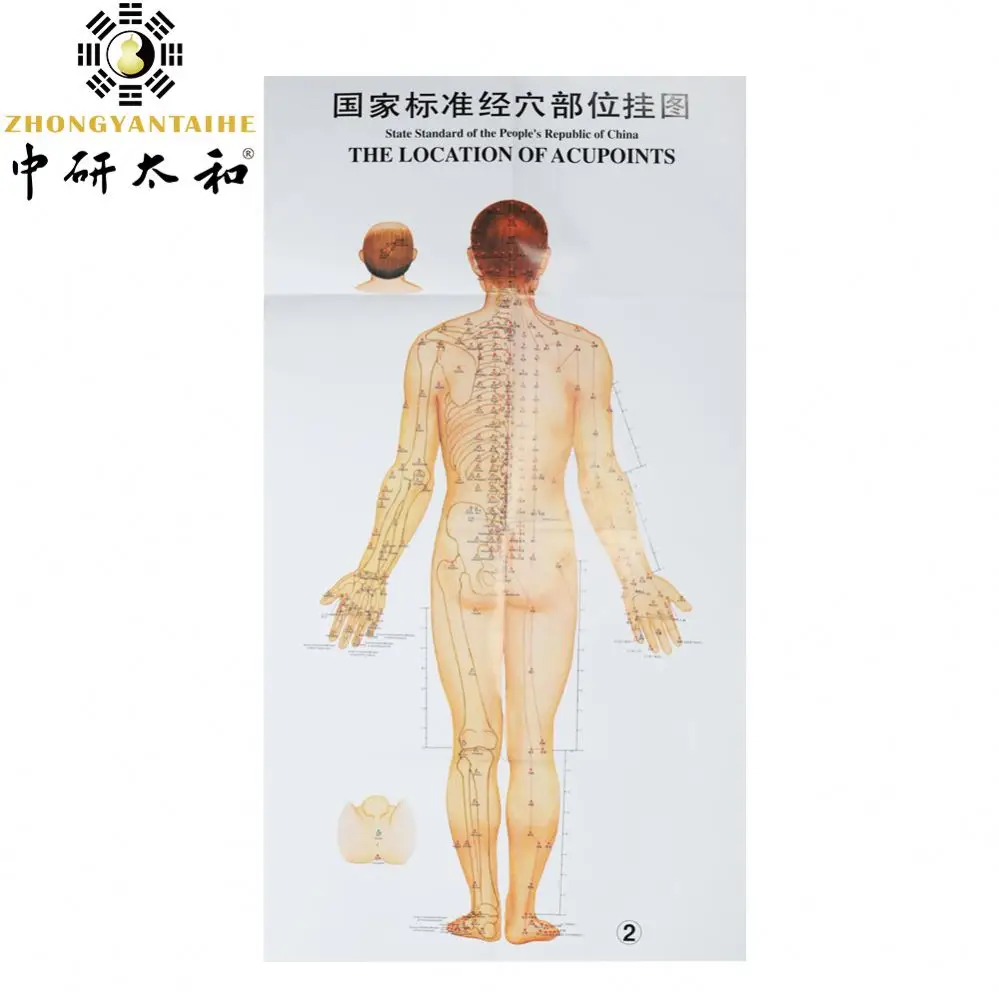 Acupuncture Points Chart - Standard Country Acupoint Wall Chart Human Body