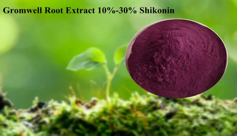 Natural Gromwell Root Extract 10%-30% Shikonin