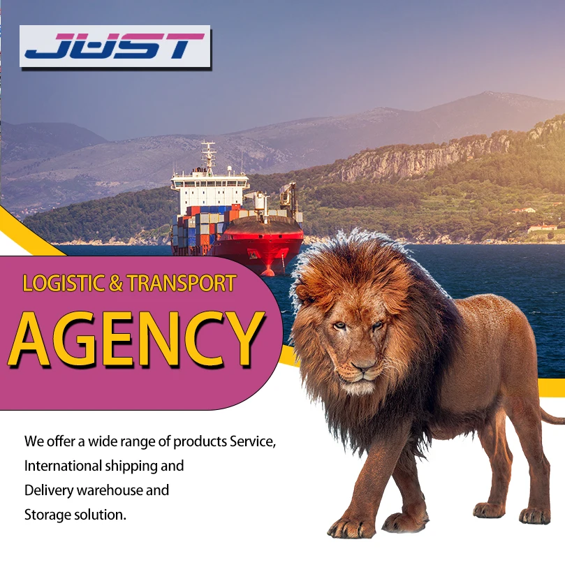 Best Price Express Freight Forwarder Fast Boat Sea Shipping Agent From China to UK/Sri Lanka/Ethiopia/Belgium/Norway for LCL FCL