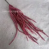 Red hanging rice