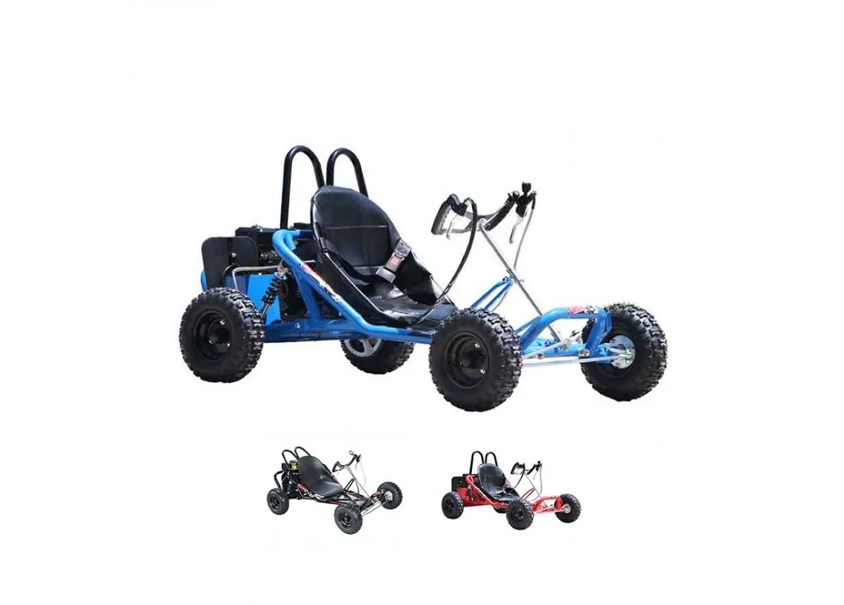 Manufacturer Sell Directly Karts Outdoor Gas Go Kart Racing 196cc Buggy