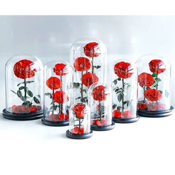 Factory Customized Wholesale Valentines Day Gifts Long Stem Glass Dome Belle Enchanted Preserved Forever Roses in Glass Dome