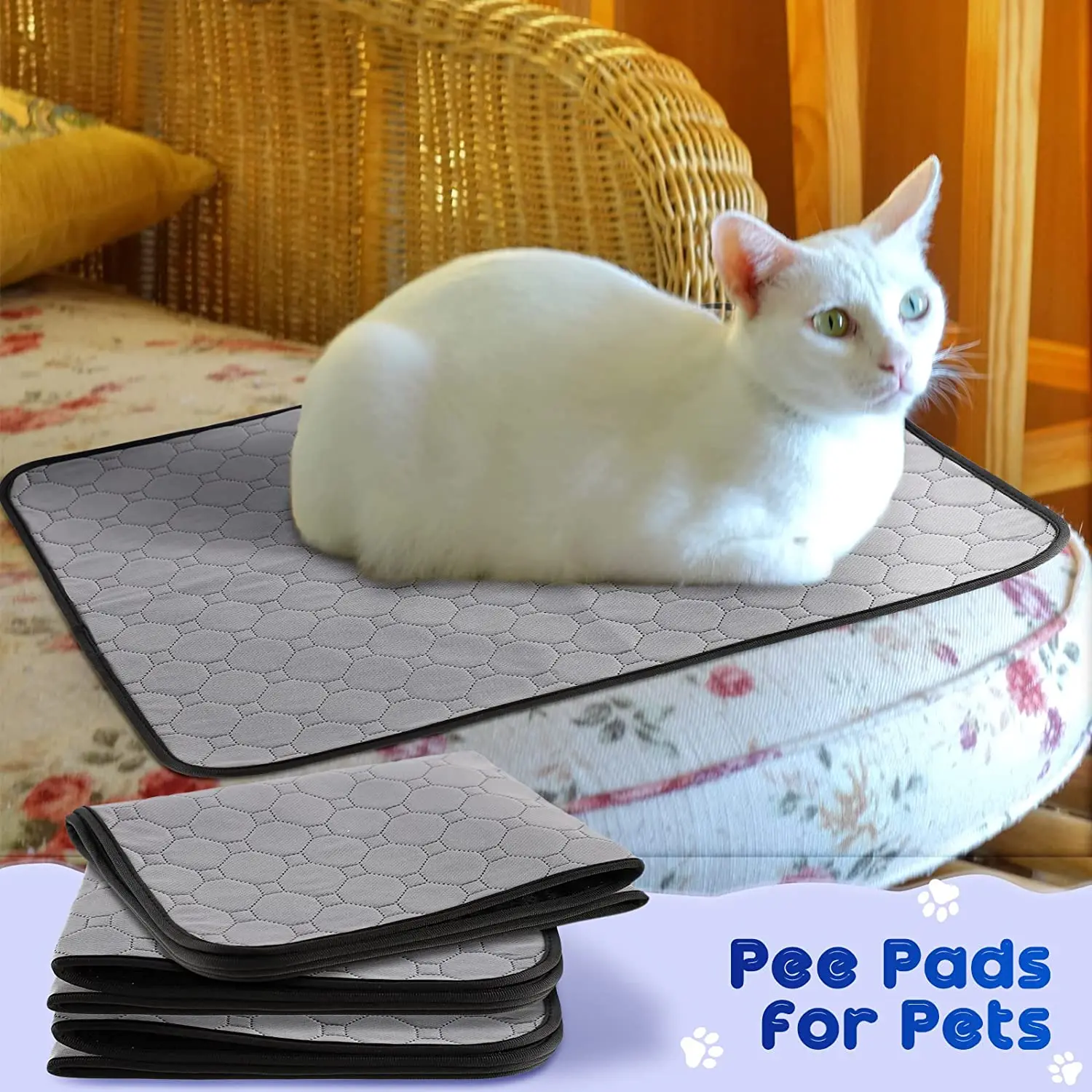 Customizable Logo Pet Training Potty Pads