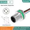 M12-D-4P male PG9