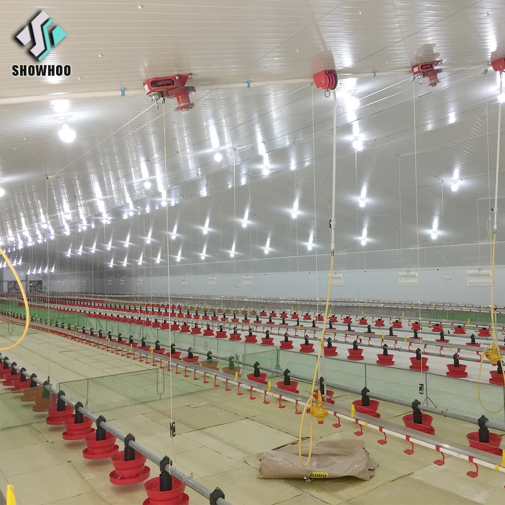 Low Cost Steel Structure Architectural Shed Design Poultry Farm House Construction