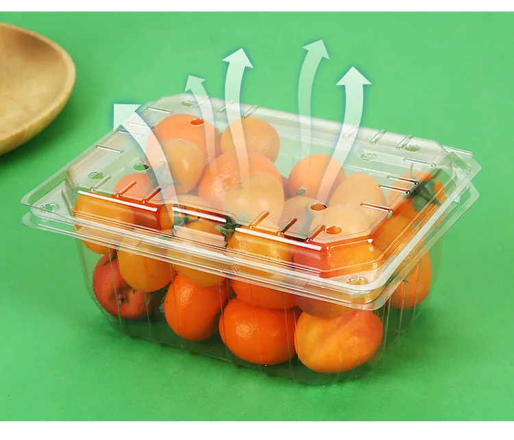 Plastic Disposable Transparent Clamshell Fruit Container Buy Plastic