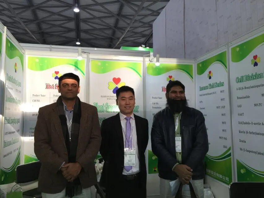 Китайский поставщик, регулятор роста растений Daminozide b9 92% tc