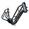 Gemini Frame
