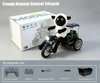 RC Tricycle