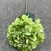 3 # grande tête unique français hortensia-vert