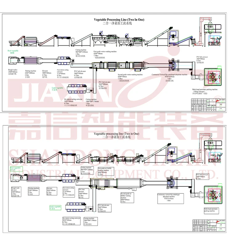 Automatic frozen fruit and vegetable production line Washing Drying Line Frozen Vegetable Washing Processing Line