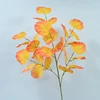 Arancione