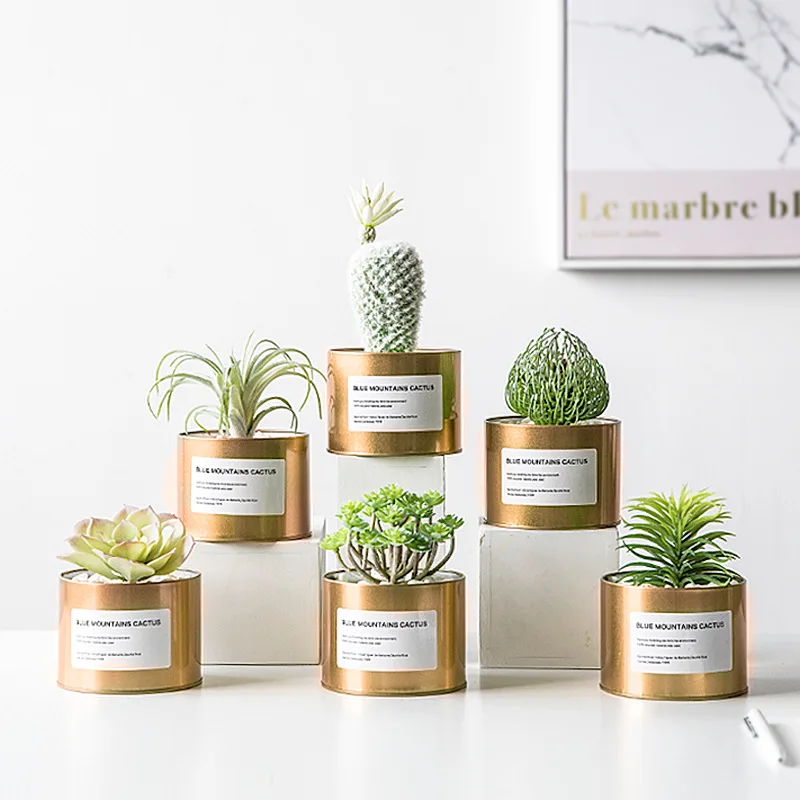 Wholesale Custom Empty Desktop Steel Small Metal Mini Metal Plant Cactus Pot