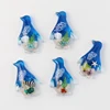 Pinguino (colore misto)