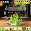 Extra Large Square Bottom Bubble Tank with Aeration Package