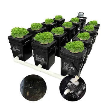 Rdwc 12 Buckets Recirculating Hydroponic System Air Pump And Cycle Pump ...