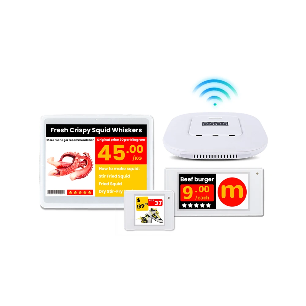 Zhsunyco ESL System Demo Kit Four Color E-Ink Price Tag Electronic Shelf Label for Supermarket