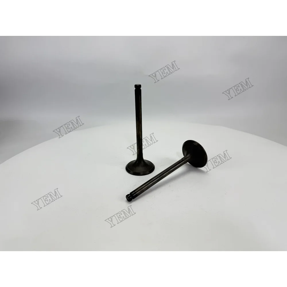 Intake Valve for Nissan NE6 Industrial Engine Parts 4