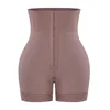MSF611004-Violet