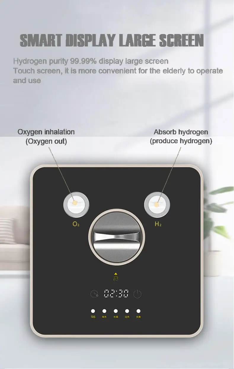 Hydrogen Engine Powered Electricity Generator Hydrogen Power Plant For