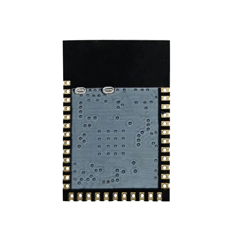 Holyiot nRF54L15 BLE Module, Bluetooth 5.4 Receiver for IoT Devices, 2 ...