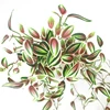 variegated