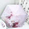loto rosa