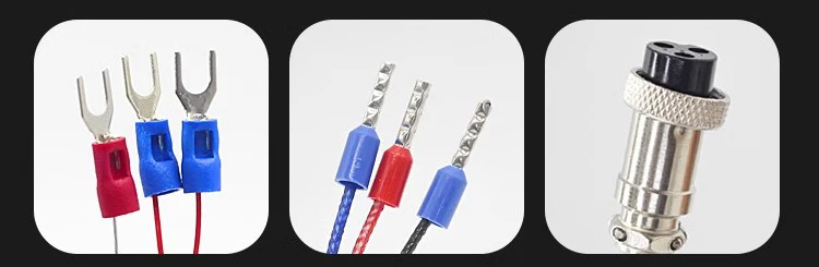 PT100 Platinum RTD Temperature Sensor