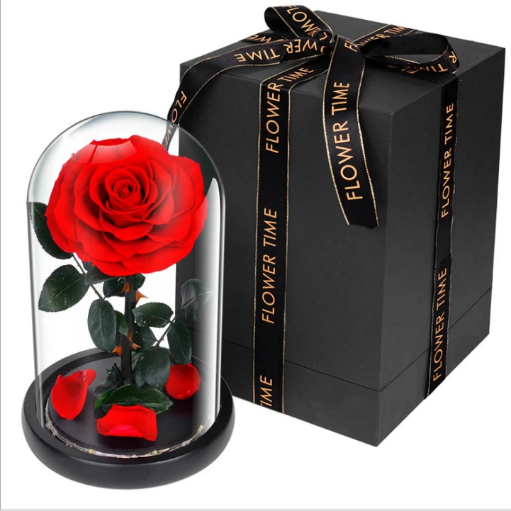 Eternal Real Rose Preserved Flower The Little Prince In Dome Gift For Girlfriend 