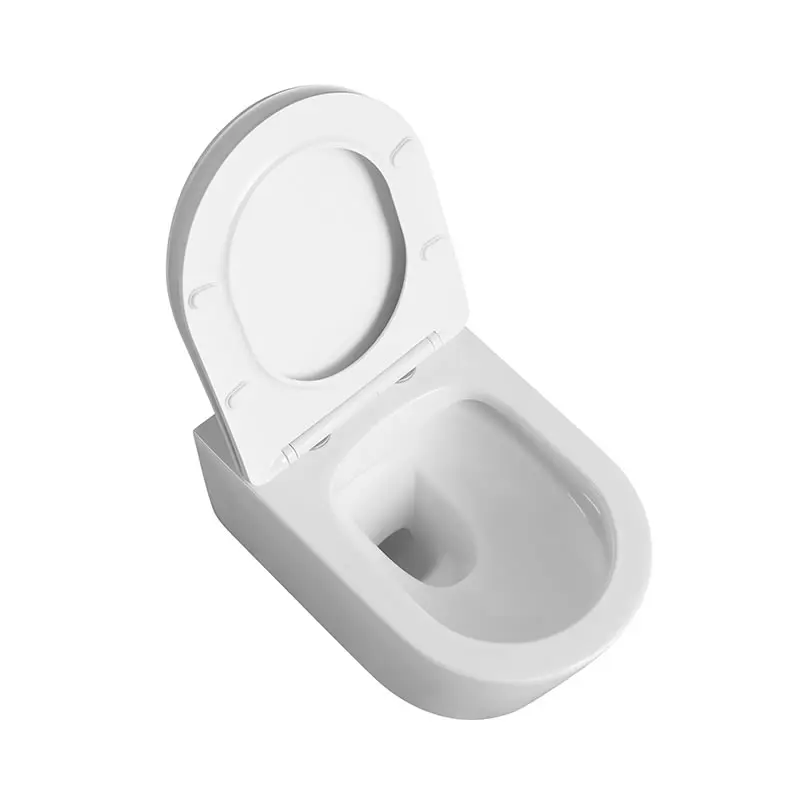 Chaozhou Ceramic Factory Sanitary Ware Rimless European Wall Hung